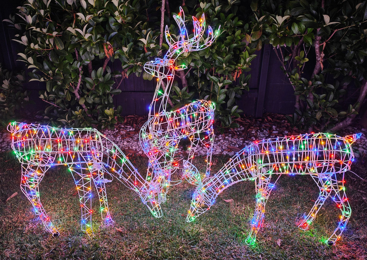 Christmas Decoration 3D Frame Buck Reindeer Eating 85cm Multi LED Indoor Outdoor