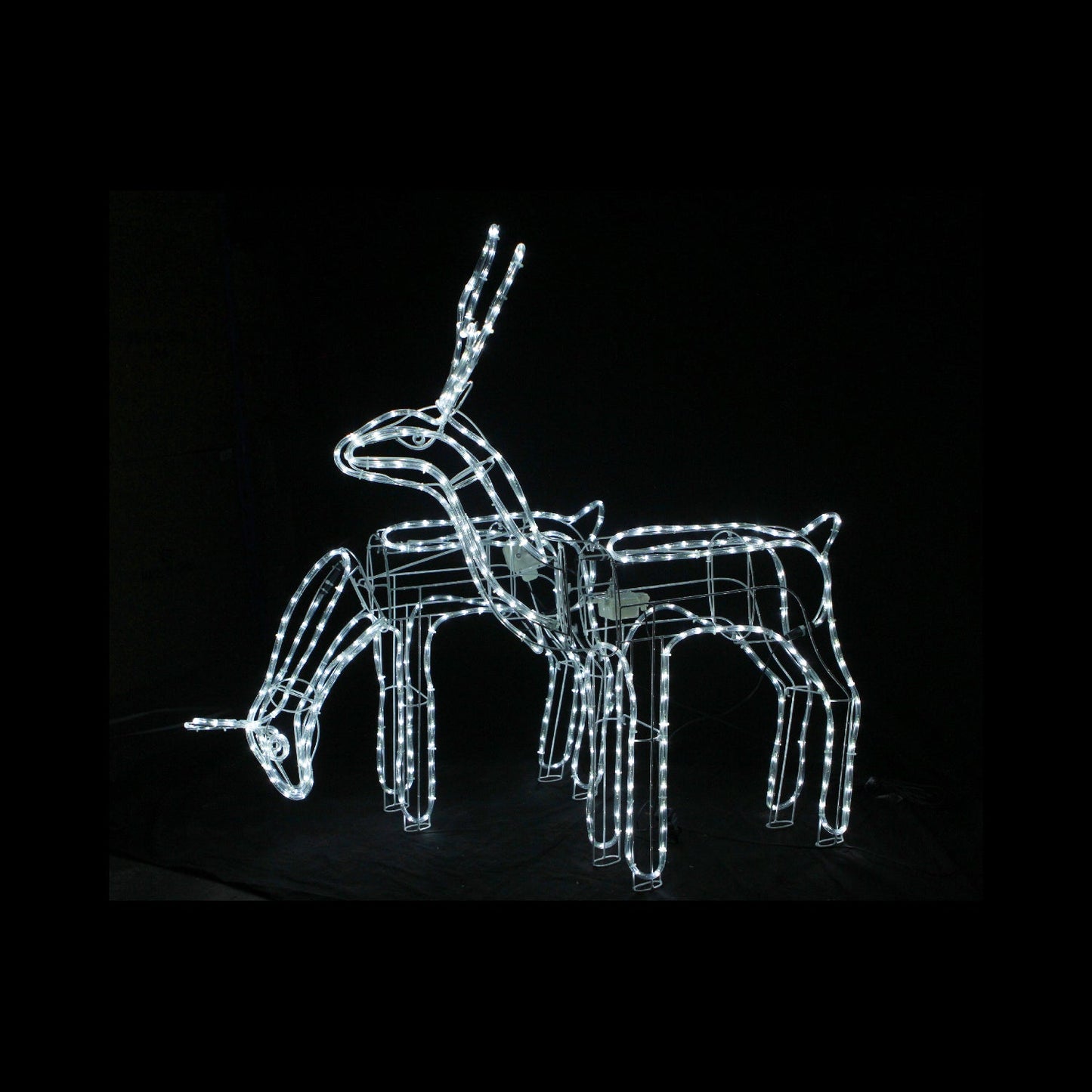 3D LED Christmas Motif Motorised Buck & Doe Reindeers Set Combo