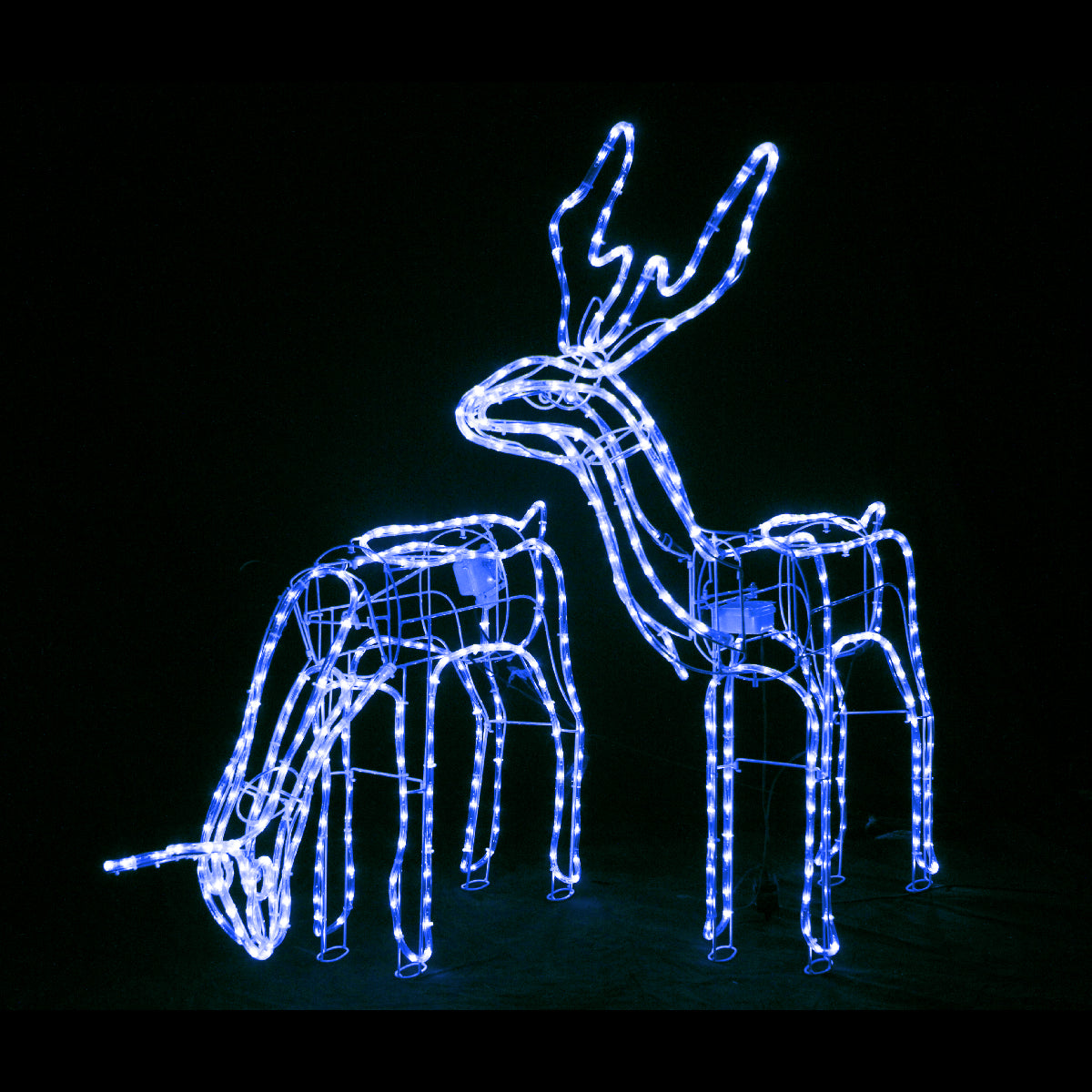 3D LED Christmas Motif Motorised Buck & Doe Reindeers Set Combo